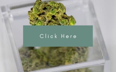 B.C.’s licensed medical cannabis craft producers launching co-op