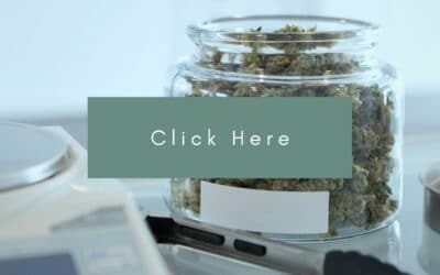 Plans for cannabis co-op moving forward