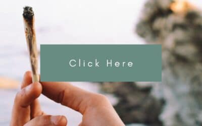 Health Canada’s new grow-ready demand could squash entry of micros into the cannabis space