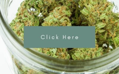 Plans for a BC craft cannabis co-op are moving forward