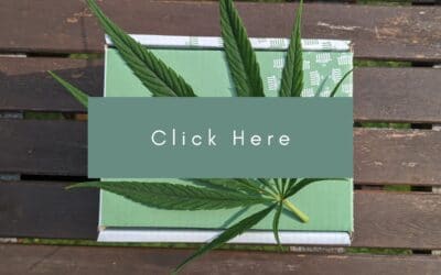 Cannabis Co-op sets date for community consultation