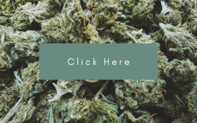 B.C.’s small cannabis producers looking for inroads into the marketplace