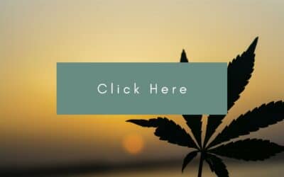 BC CRAFT FARMERS CO-OP: B.C. cannabis co-op officially has a name