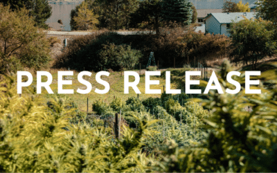 BC Government Reauthorizes Direct Cannabis Sales but Maintains 15% Tax