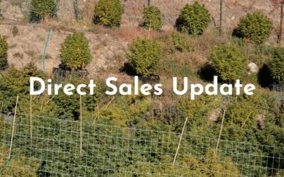 Direct Sales Update