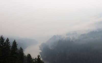 Wildfires: BC Craft Farmers Co-op Urges Equal Support for Craft Cannabis Farmers